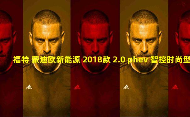 福特 蒙迪欧新能源 2018款 2.0 phev 智控时尚型 国vi